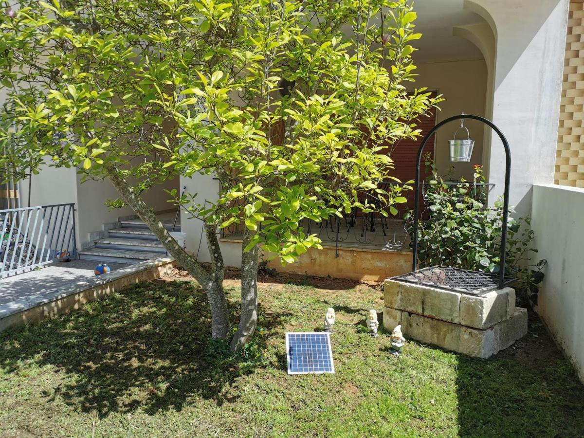 알레지오 Magnolia B&B 외부 사진